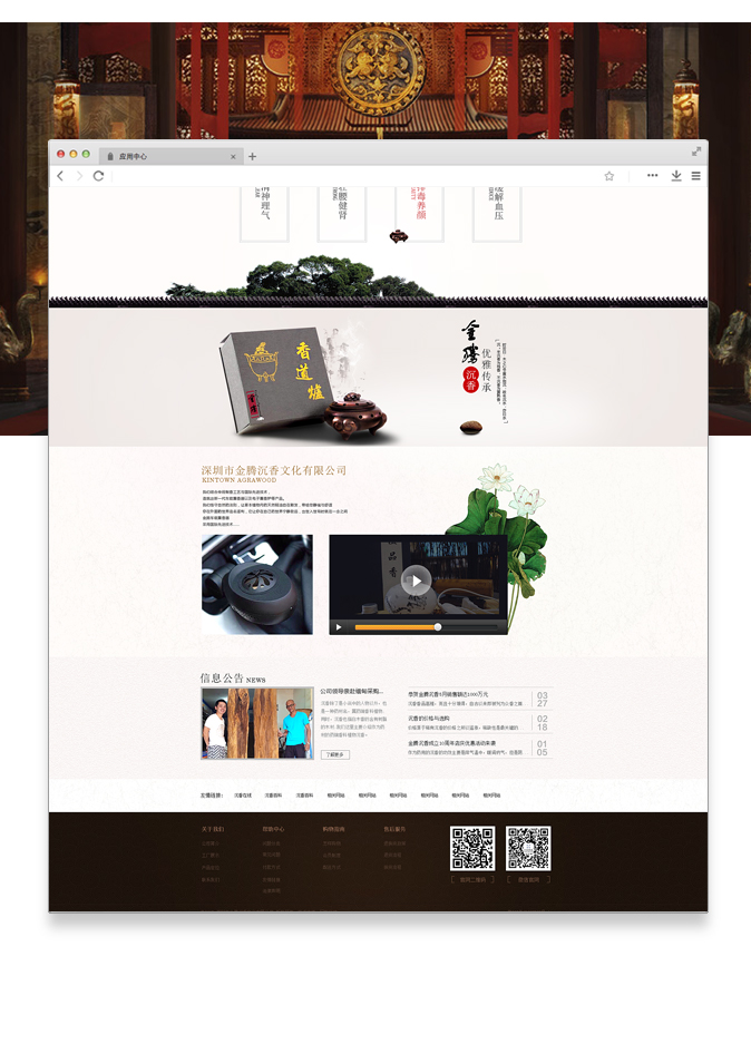 网站建设开发案例