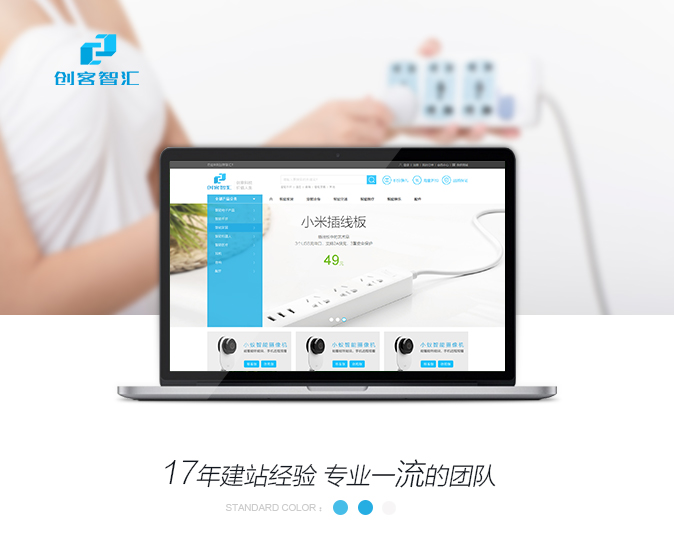 网站开发案例