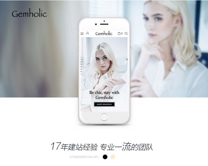 手机官网网站效果图