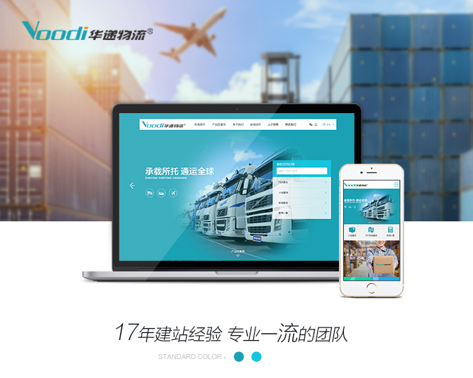 官网网站效果图