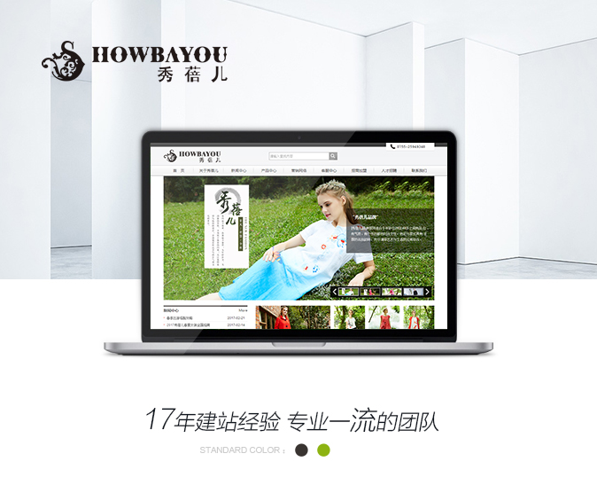 网站定制案例