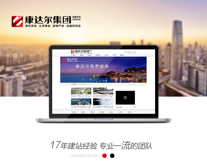 网站开发案例