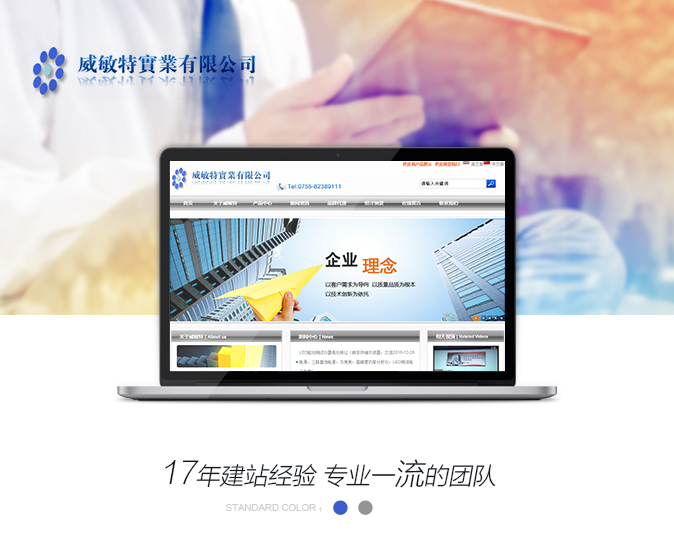 网站建设效果图