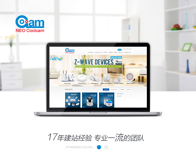 官网建设效果图