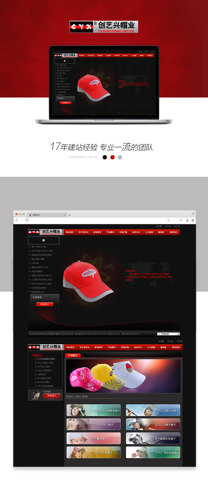 网站开发案例