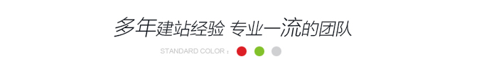 pc企业网站开发案例